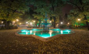 a fountain in a park lit up at night